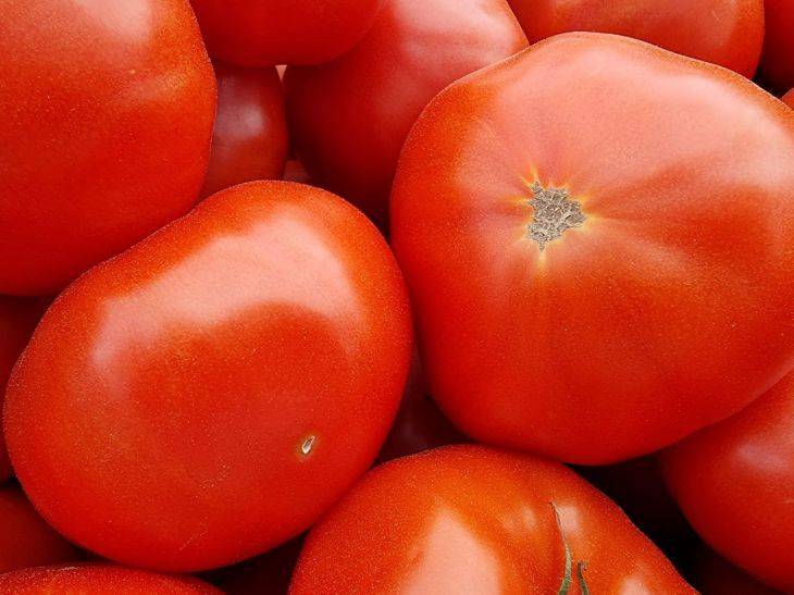 Как вырастить крупные помидоры: 3 хитрости, о которых не стоит забывать