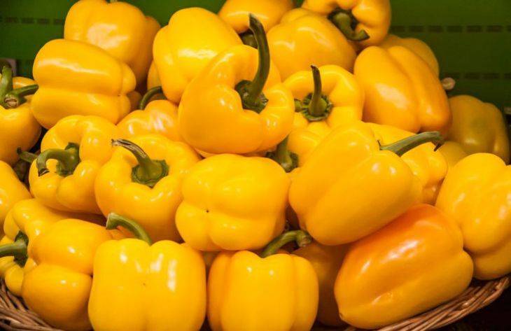 Чем подкормить перцы в августе, чтобы продлить плодоношение и увеличить урожай