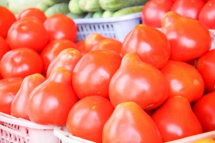 Почему помидоры внутри белые и с жесткими прожилками: 3 причины необычного явления