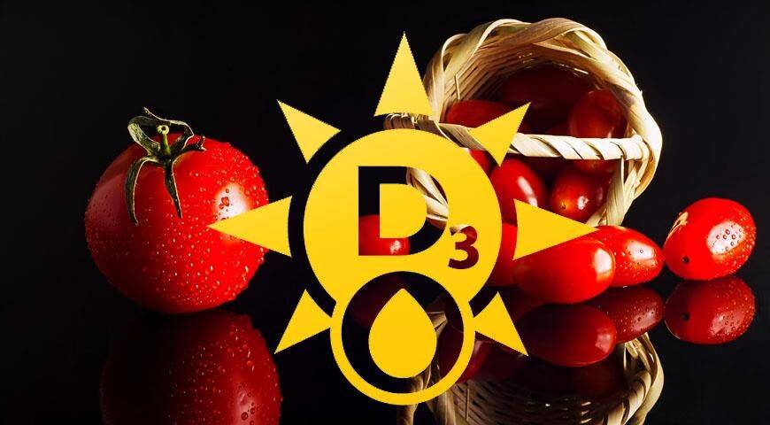 Биообогащенные витамином D помидоры к вашему столу от английский ученых