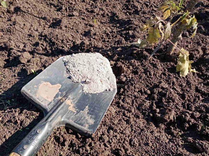 Как восстановить почву после гербицидов: 3 совета огородникам