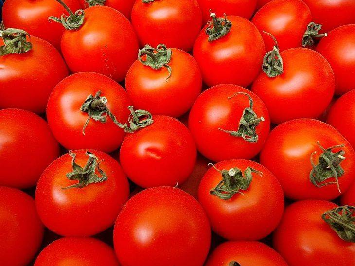 Какой сидерат лучше сеять после томатов: будущий урожай станет рекордным