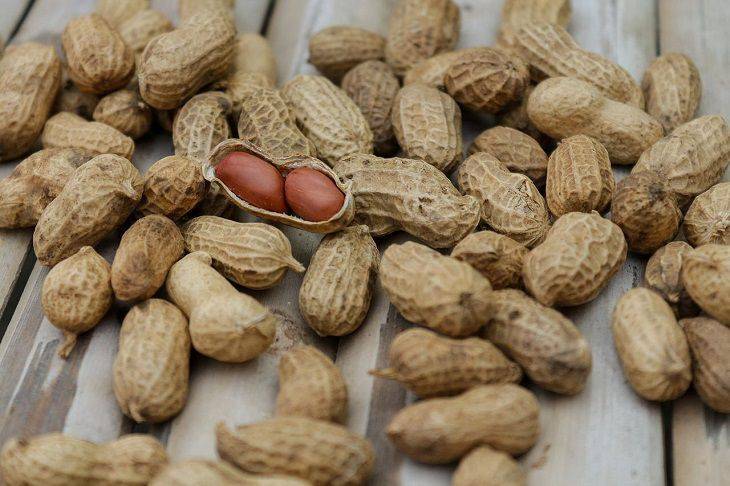 Дачники поделились личным опытом выращивания арахиса на огороде: секреты удивительного урожая