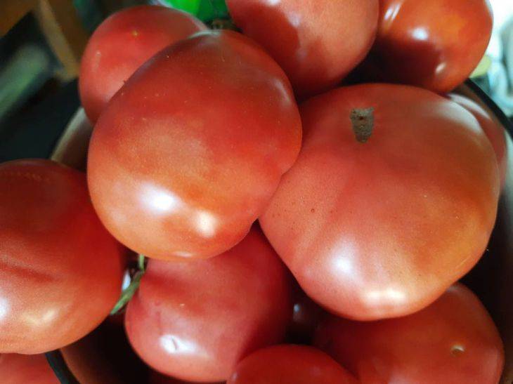 3 сорта томатов, которые называют «томатным мясом»: познакомьтесь поближе с сахарными помидорами