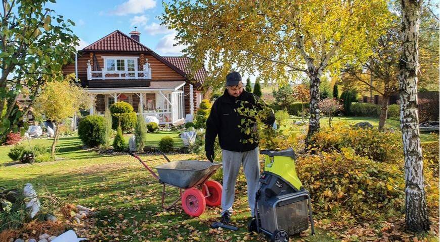 5 способов использовать осенние листья в саду с пользой