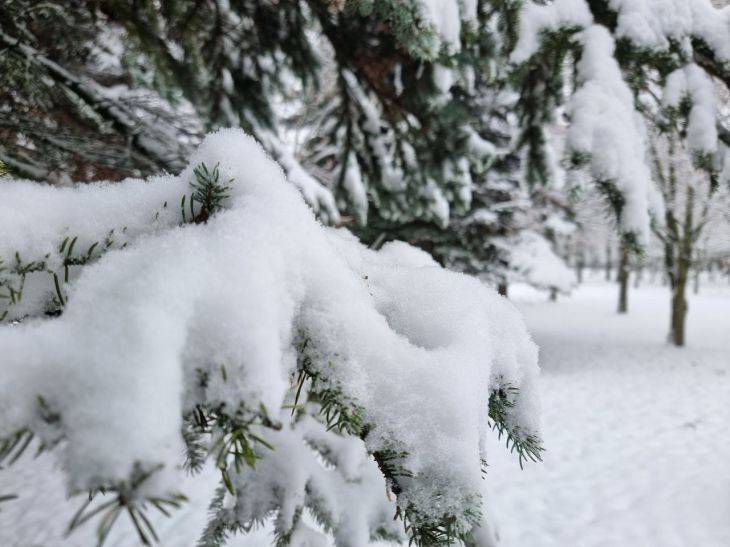 Что делать со снегом на участке: 5 примеров, о которых никто не задумывается