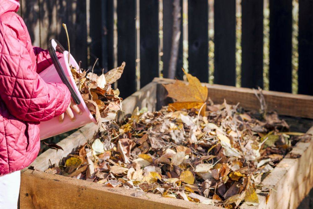 Что делать с компостом осенью – спасаем ценное удобрение от морозов