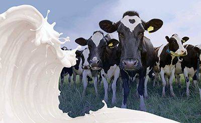 Как живет молочная отрасль после ухода западных поставщиков оборудования