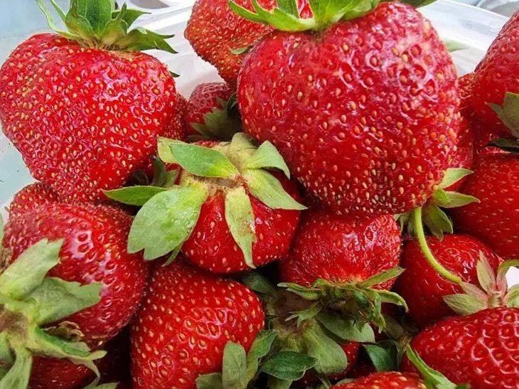 Что делать с клубникой, чтобы ягоды было крупными: бывалые садоводы раскрыли свои секреты