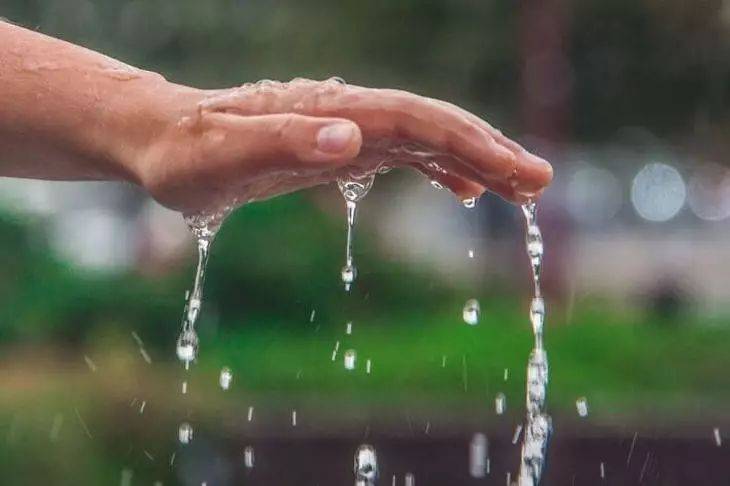Какие ошибки допускают дачники при сборе дождевой воды: нарушение элементарных правил