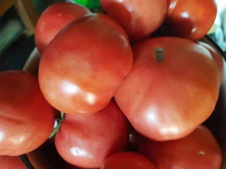 Хотите крепкую приземистую рассаду томатов и перца? Вносите в почвосмесь при посадке эту муку