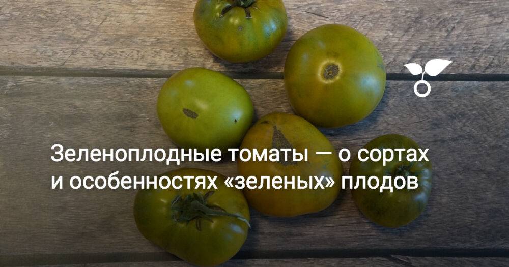 Зеленоплодные томаты — о сортах и особенностях «зеленых» плодов