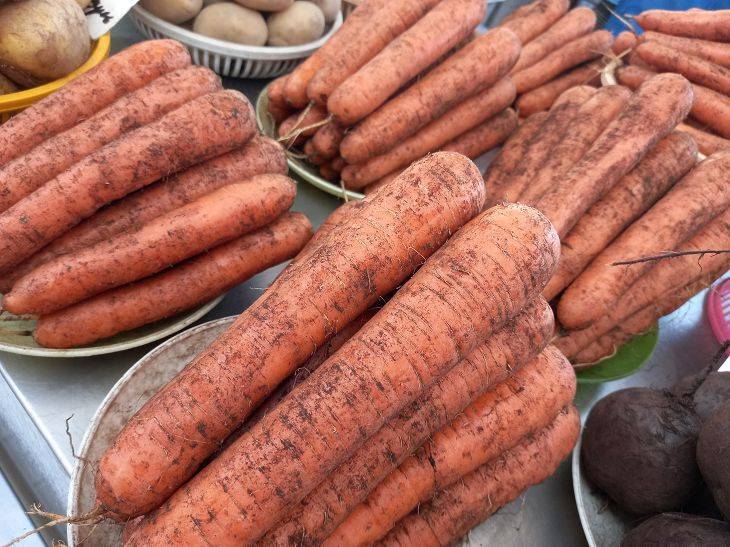 Как сажать морковь, чтобы не прореживать: 7 способов посадки моркови