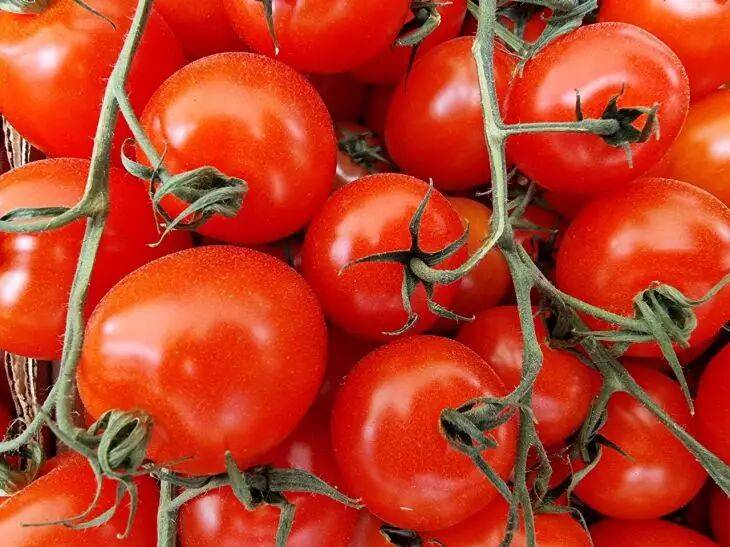 Положите это в лунку под томаты, высаживая их в грунт: деревенский секрет