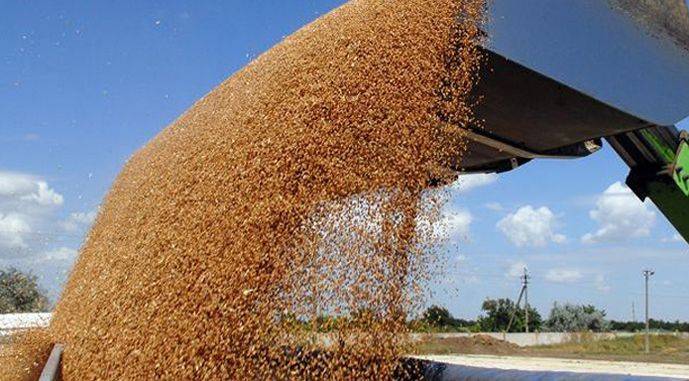 Grain Alliance обновляет технику, чтобы увеличить экспорт зерна