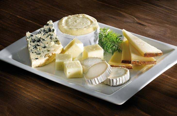 Ученые разработали метод изготовления сыра и сливок из микробного белка