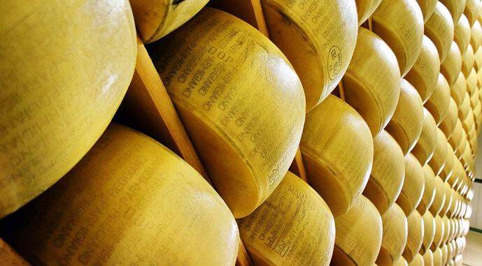 Производство сыра растет быстрее спроса