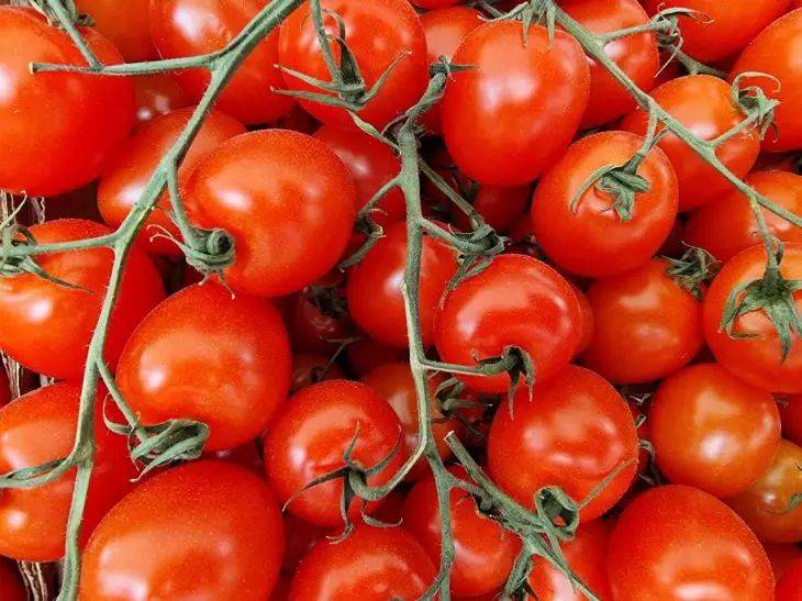 Какие сорта помидоров черри подходят для выращивания на подоконнике: полный список