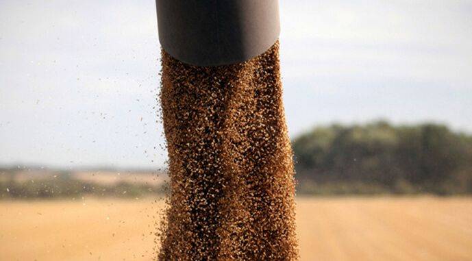 В Австралии прогнозируют снижение урожая озимых более чем на 30%