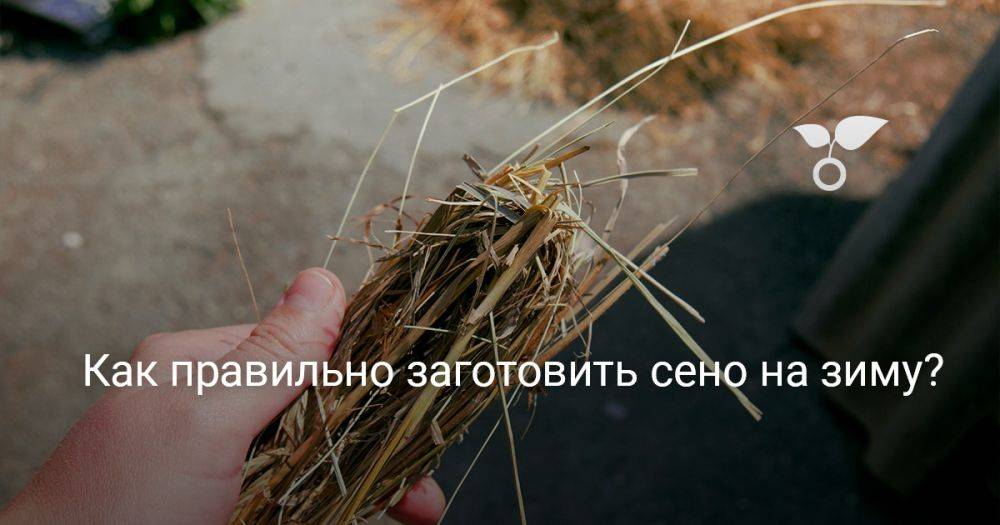 Как правильно заготовить сено на зиму?