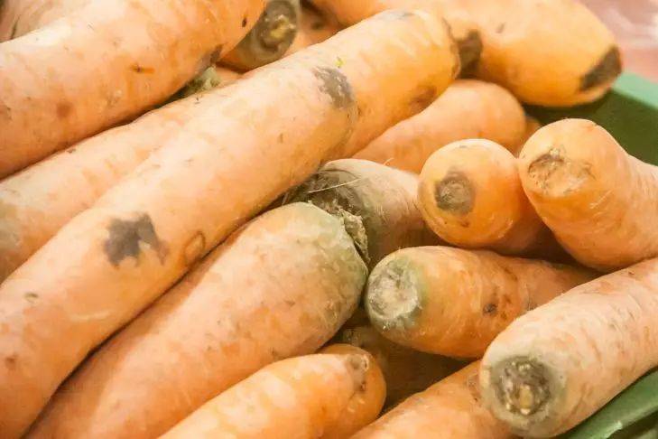 Чтобы морковь росла крупной даже на бедном грунте без подкормок: 3 хитрости