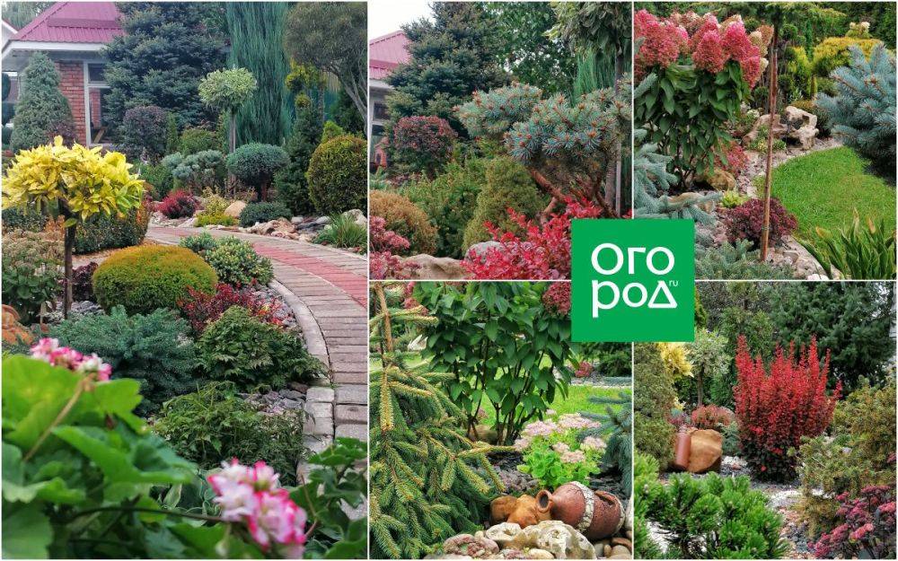 Яркий осенний сад: идеи композиций и практические советы