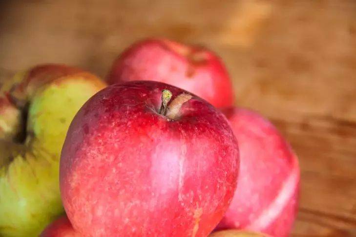 Как сохранить урожай яблок: опытные дачники поделились секретами