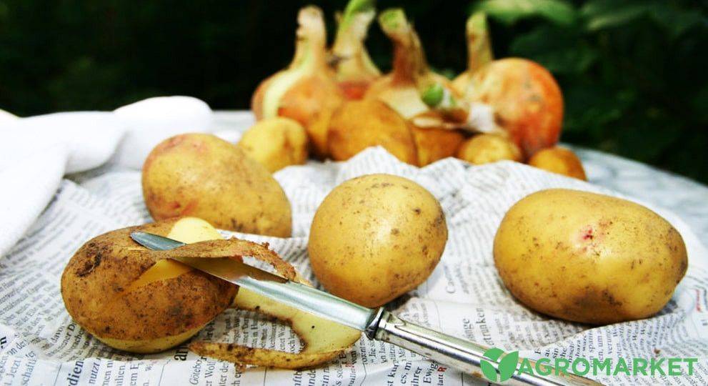 Картофельные очистки, как удобрение
