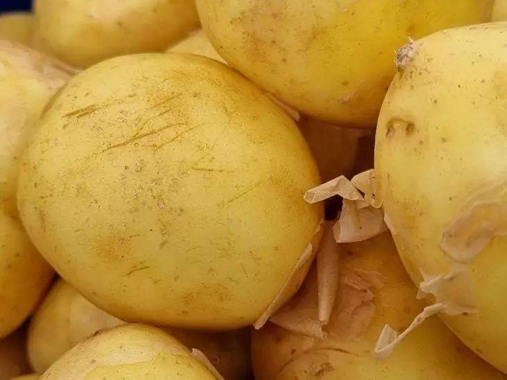 Как собрать 5 тонн картофеля всего с 1 сотки: деревенская подкормка – об этом не расскажет сосед
