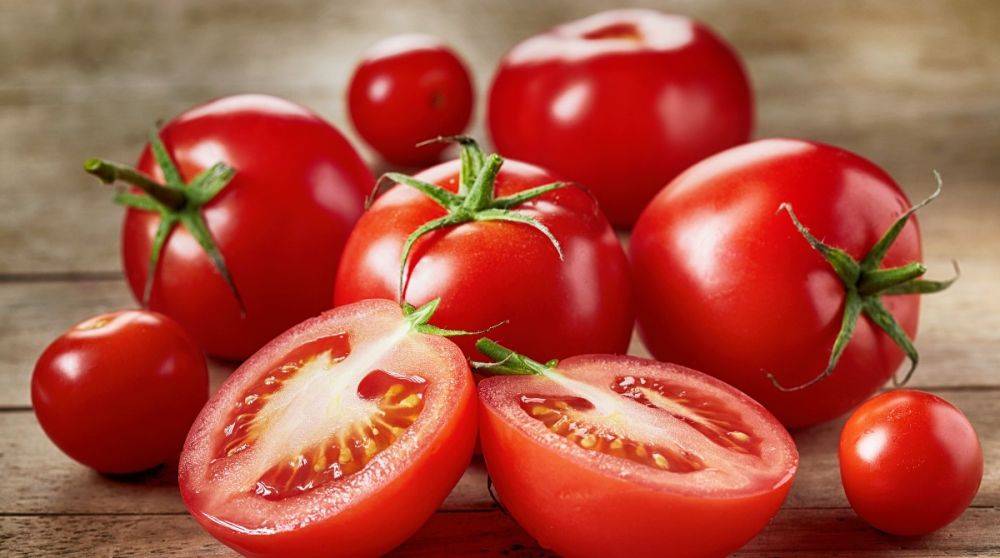 Как выбрать семена томатов для получения качественного урожая?