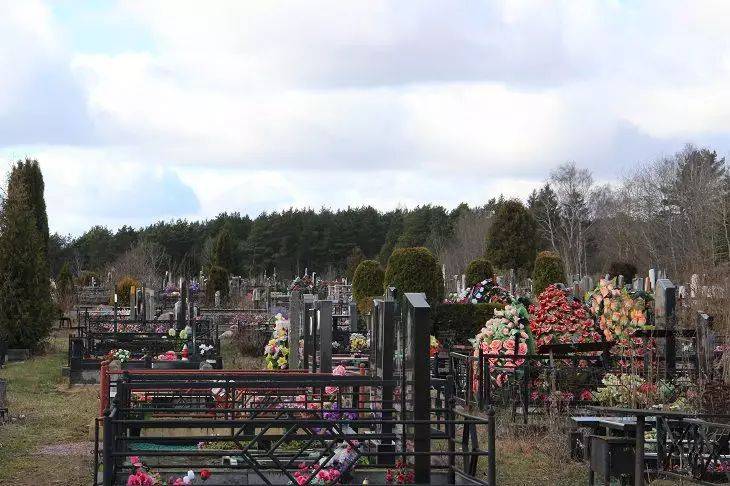Какие цветы нельзя сажать на кладбище: 3 растения, которым не место на могиле