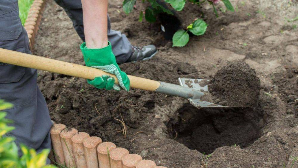 Как подготовить почву для посадки растений