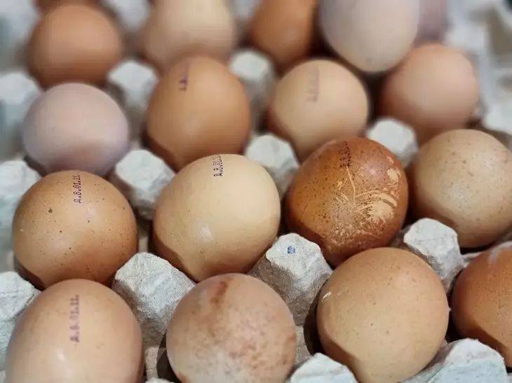 Для чего опытные дачники хранят яичную скорлупу: 2 варианта применения - о чем стоит знать