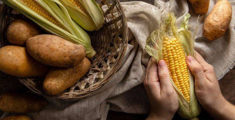 Разнообразие сельхоз продукции: ее роль в обеспечении питания и экономического развития