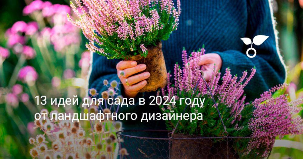 13 идей для сада в 2024 году от ландшафтного дизайнера