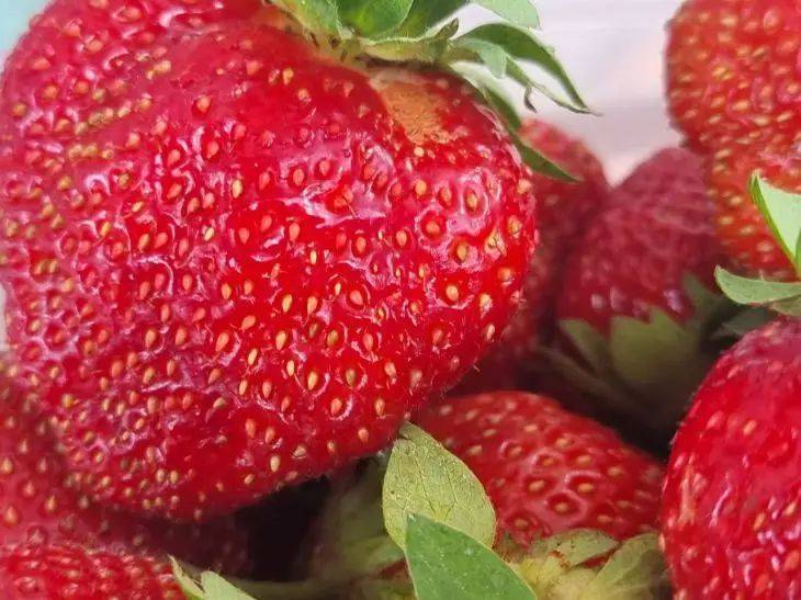 Завидуете соседям из-за крупной клубники: вот простая хитрость, как увеличить ягоды в размере