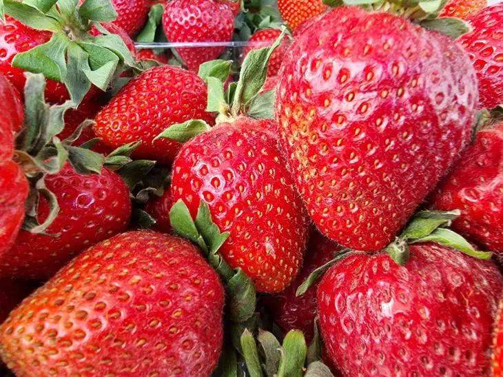 Как повысить урожайность клубники с помощью йода: необычный способ — ягод будет очень много