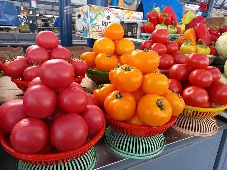 Выращивание помидоров по методу Маслова: в чем его секрет