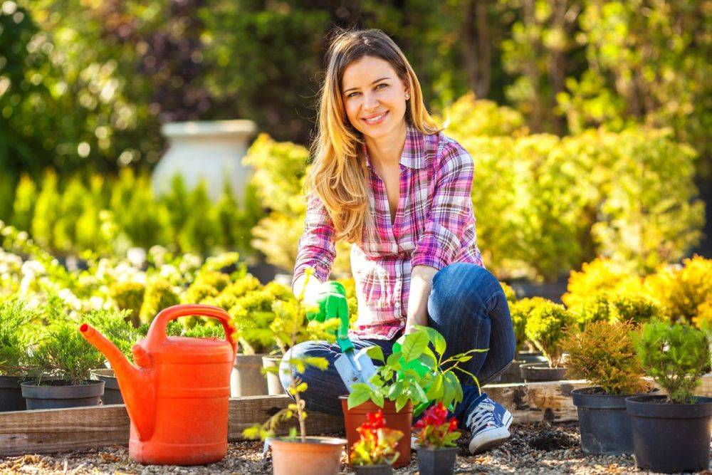 10 советов для начинающих садоводов