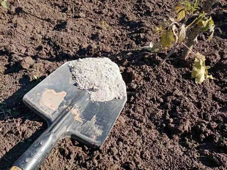 Сколько золы добавлять в почву для рассады: укрепляем растения с умом