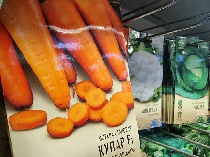 Морковь вырастет большой и сладкой. Обязательно вносите эти две подкормки