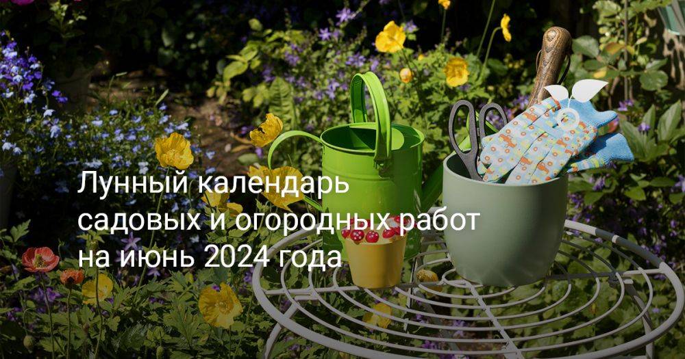 Лунный календарь садовых и огородных работ на июнь 2024 года