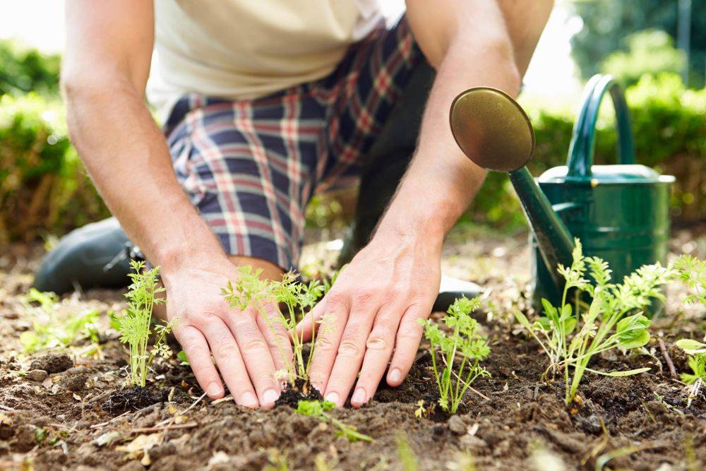8 преимуществ садоводства для психического здоровья