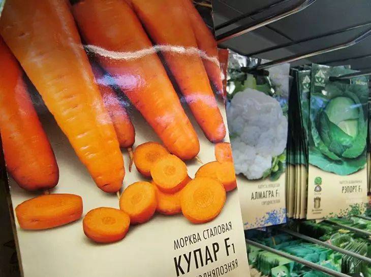 Как посеять морковь, чтобы потом не пришлось прореживать: смешайте семена именно с этим