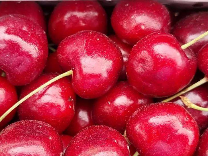 Как правильно поливать вишню и черешню в июне: ягоды будут сочными и сладкими - советы дачникам