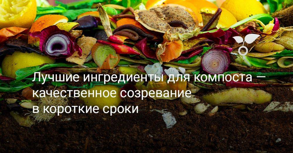 Лучшие ингредиенты для компоста — качественное созревание в короткие сроки