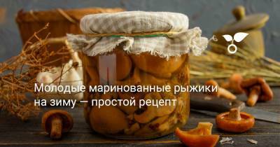 Молодые маринованные рыжики на зиму — простой рецепт - botanichka.ru