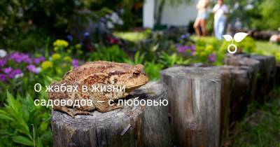 О жабах в жизни садоводов — с любовью - botanichka.ru - Вологодская обл.