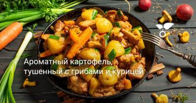 Ароматный картофель, тушенный с грибами и курицей - botanichka.ru