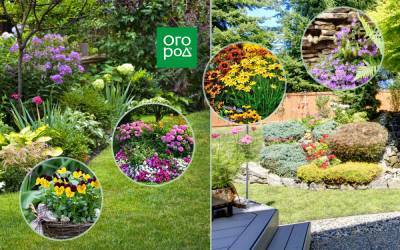 Идеальные цветовые решения для вашего сада - ogorod.ru